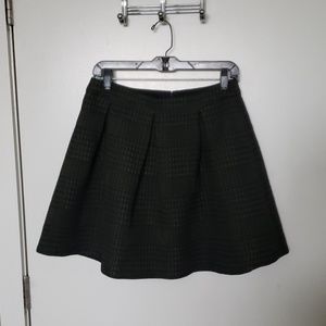 Express Flare Skirt